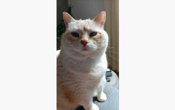 LES COURS DU VENDREDI